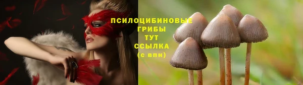 ALPHA PVP Абдулино
