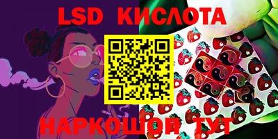 гидропоника Кулебаки