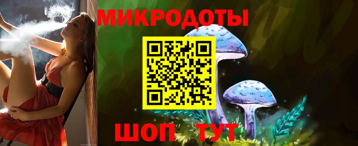 Псилоцибиновые грибы Psilocybine cubensis Приморско-Ахтарск