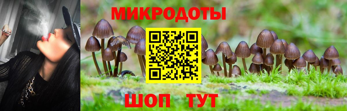Приморско-Ахтарск  Псилоцибиновые грибы мицелий  Вход с VPN 